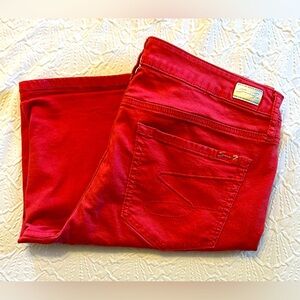 Seven7 Sunset Bermuda Mid-Rise Shorts Holly Berry Size 14 Flat Front Womens